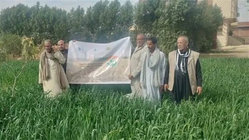جانب من المدرسة الحقلية،