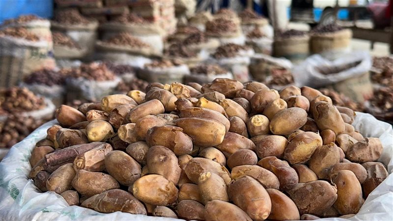 أسعار البلح في الأسواق
