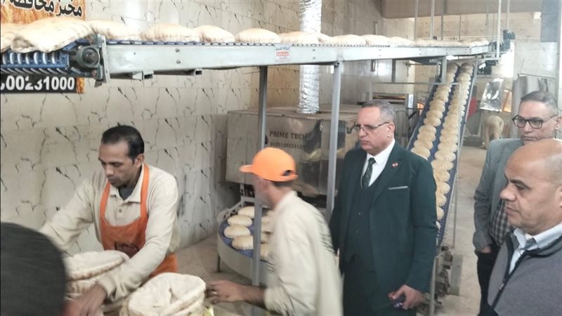 حملات تموينية بالدقهلية،