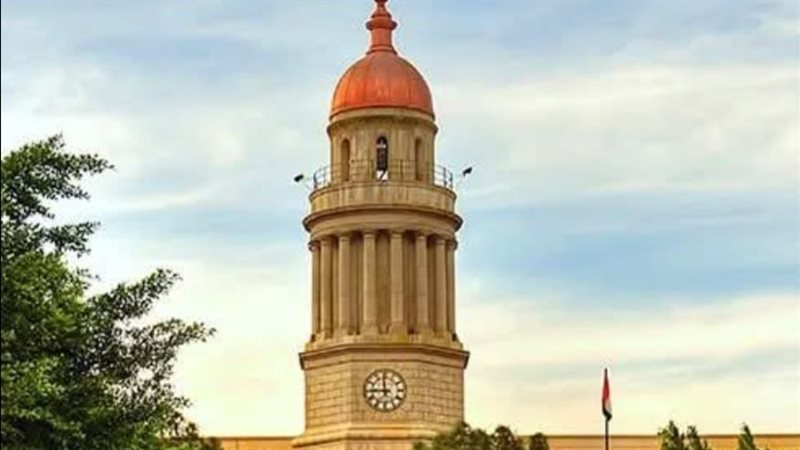 قصر العيني 