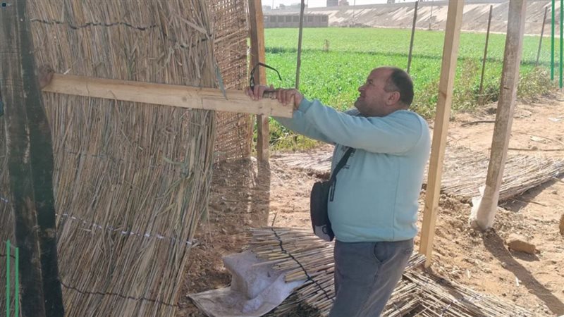 إزالة ٤٦٣حالة تعدي بالبناءالمخالف بالموجه28