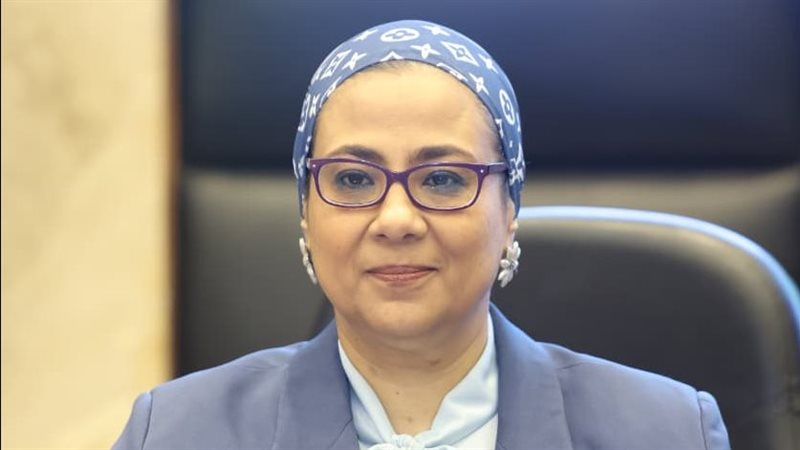 رئيس المجلس القومي