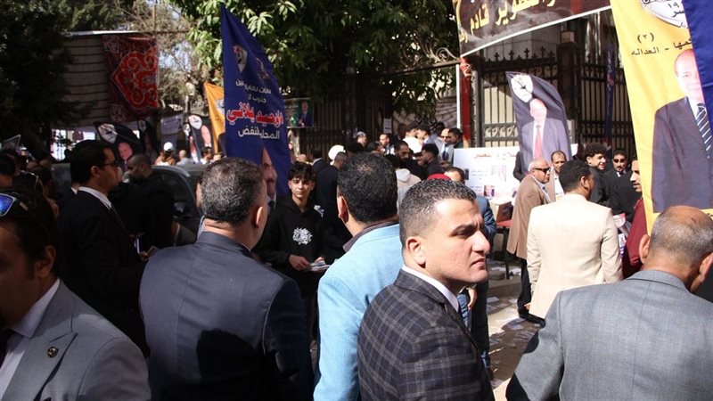 انتخابات محامي جنوب