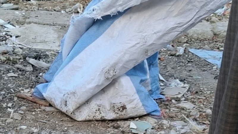 العثور على أجنة المنيا