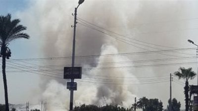 نائب عن المصري الديمقراطي يتقدم بشكوى بشأن الانبعاثات والروائح الكريهة بالجيزة
