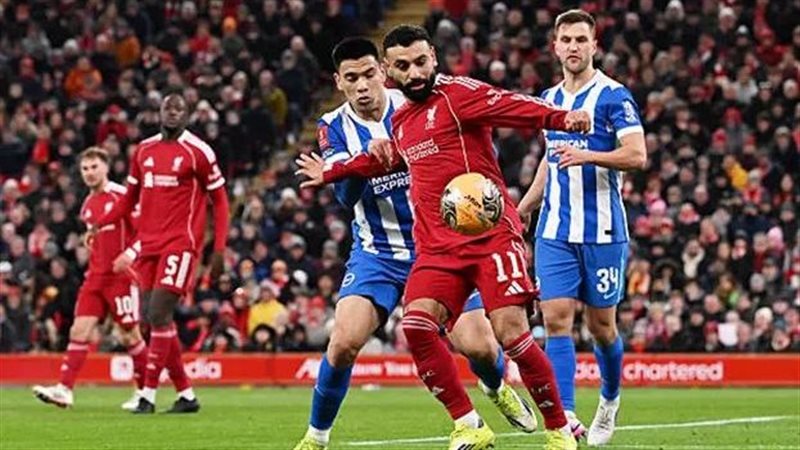 ليفربول أمام برايتون