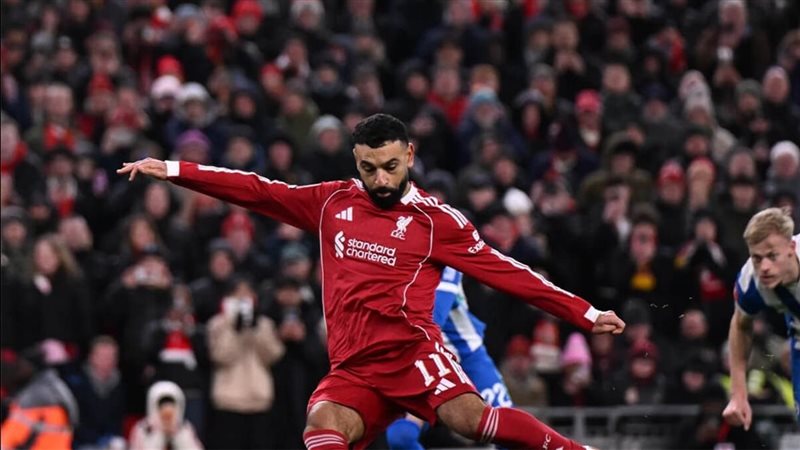 ليفربول وبرايتون