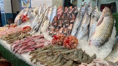 سعر السمك اليوم، ارتفاع ملحوظ للجمبري وانخفاض البلطي والبوري 