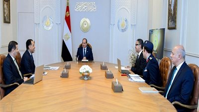 السيسي يتابع إجراءات توافر السلع الغذائية بجودة وأسعار مناسبة قبل رمضان (فيديو)