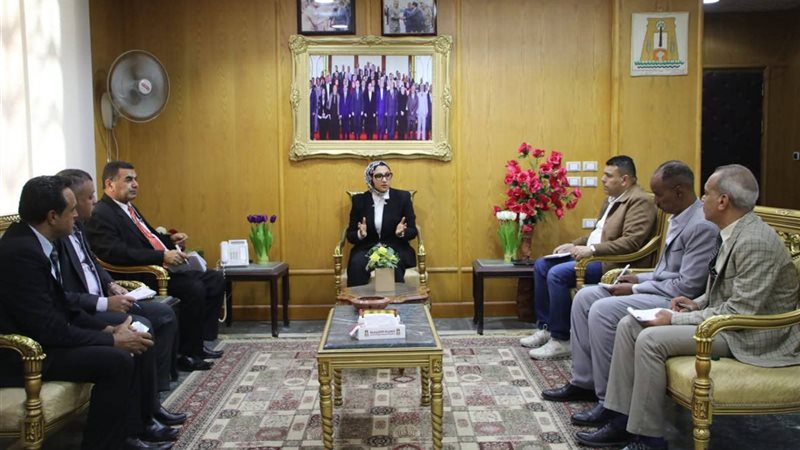 محافظ الوادى الجديد،