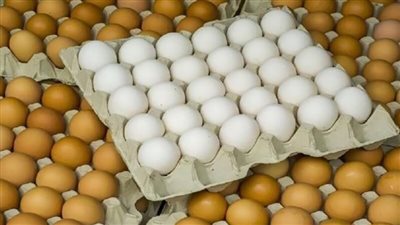 سعر كرتونة البيض اليوم الجمعة في بورصة الدواجن