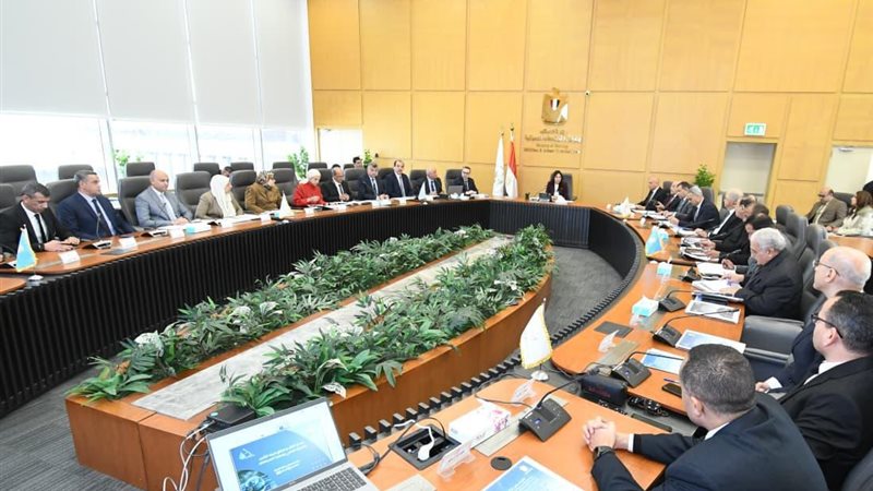 راندة المنشاوي 
