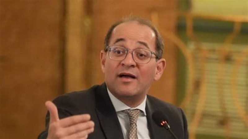 وزير المالية