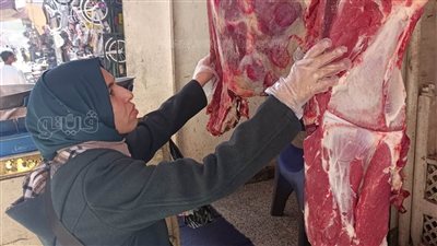 بيطري أسوان ينظم حملات تفتيشية بمحلات الجزارة والأسماك وتنفيذ أعمال تطهير مكثفة لأسواق الطيور