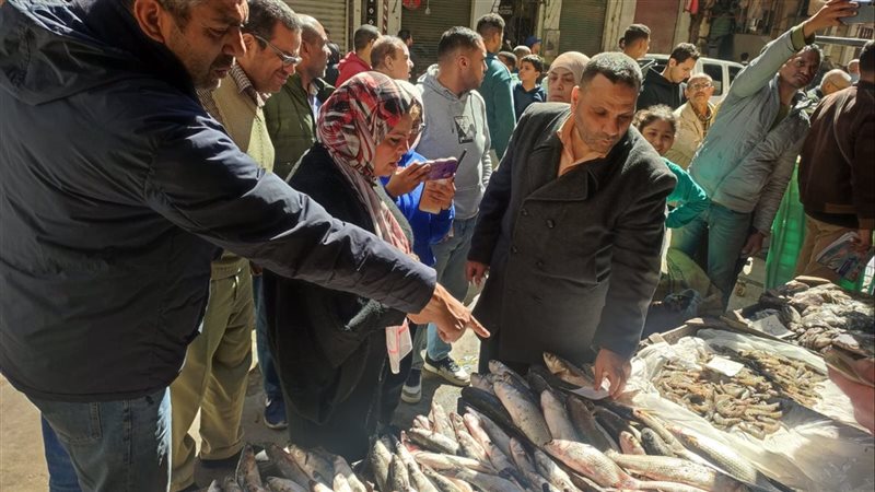 وكيل تموين الإسكندرية