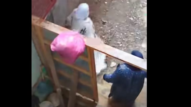ضرب وإهانة مسنة حاولت