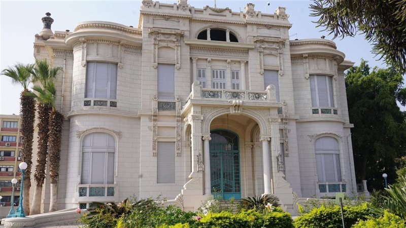 جامعة عين شمس، فيتو
