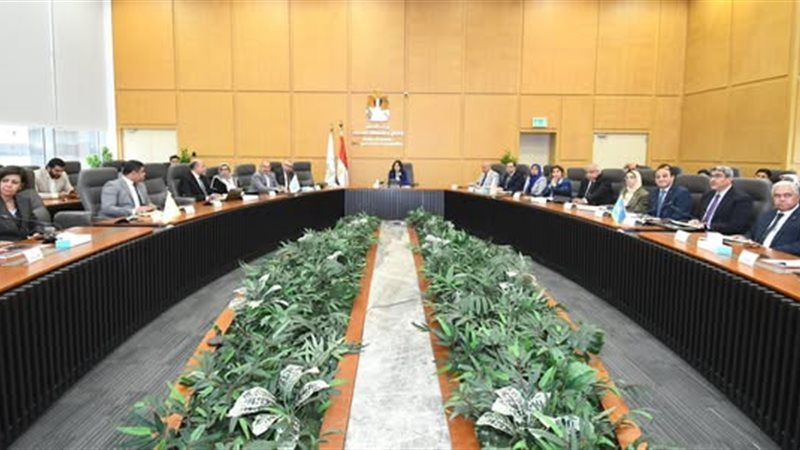 راندة المنشاوي
