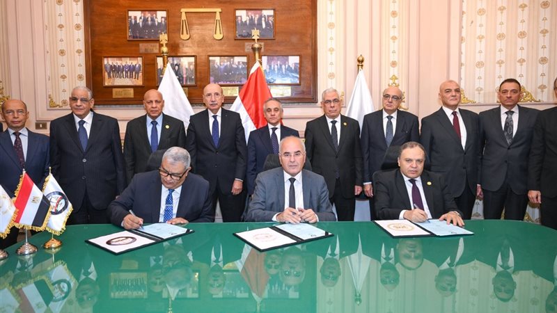 النيابة العامة، فيتو