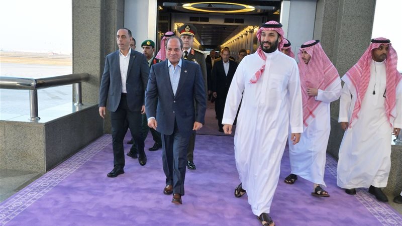 الرئيس السيسي وولي