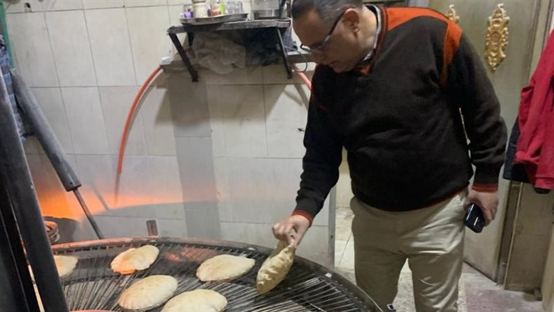 حملات تموينية بالدقهلية،