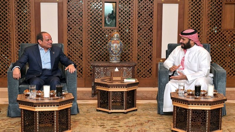 الرئيس السيسي وولى