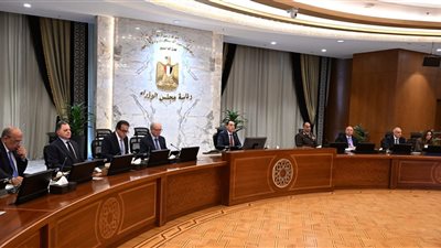 مدبولي: نتحرك بمنطق استباقي يحمي استقرار الاقتصاد ويؤمن الإمدادات 