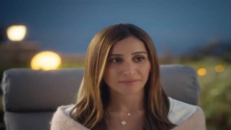 دينا الشربيني، فيتو