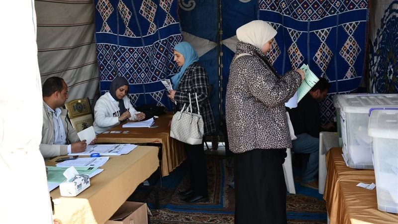 جانب من عمليات التصويت،فيتو