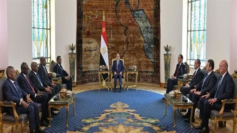 السيسي أثناء استقبال