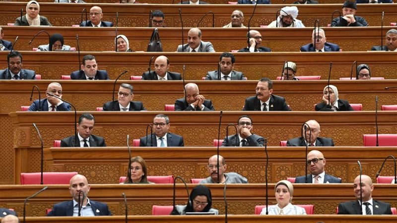 مجلس النواب، فيتو