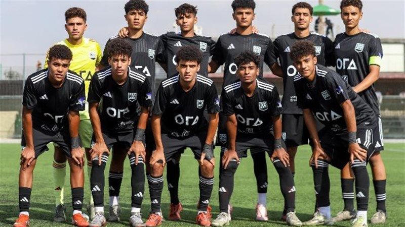 زد،فيتو
