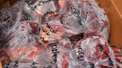 بورسعيد تتسلم 2000 كيلو لحوم من وزارة الأوقاف لتوزيعها على الأسر الأولى بالرعاية