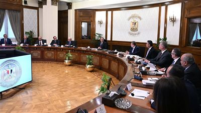 تذبذب العملات وحالة عدم يقين.. مصر تضع خطة 