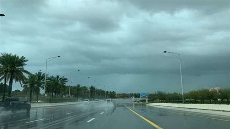 سحب ممطرة، فيتو