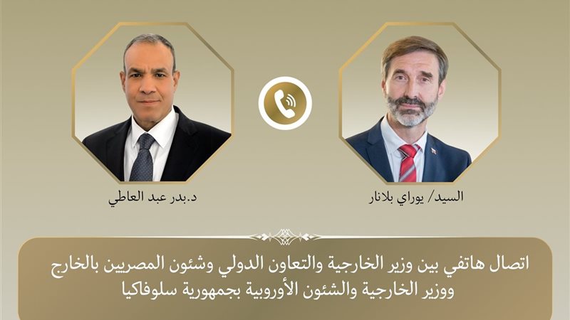 وزير الخارجية ونظيره