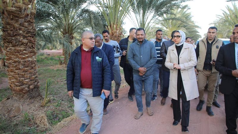 محافظ الوادى الجديد،