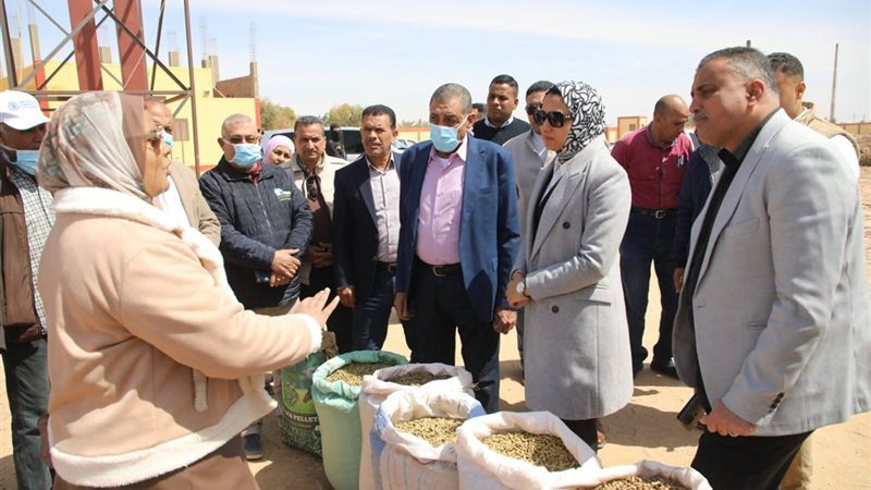محافظ الوادى الجديد،