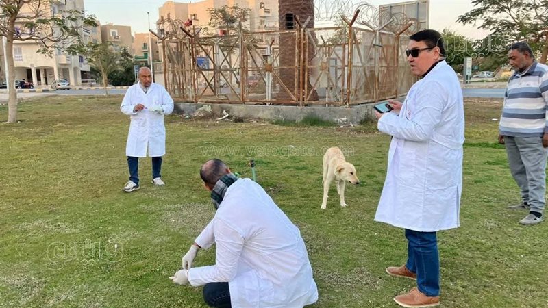 بيطري المنيا يواصل