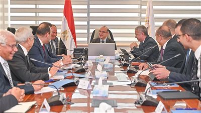  محمد فريد صالح: منصة الكيانات الاقتصادية تحول مؤسسي في طريقة إدارة دورة حياة الاستثمار 