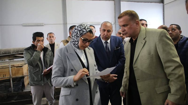 محافظ الوادى الجديد