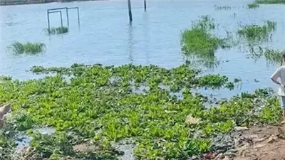 جهود مكثفة لانتشال جثة عامل غرق داخل بركة ري بالفرافرة