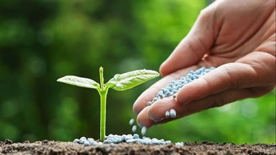 باستثناء السلفات المخصوص، ارتفاع أسعار جميع أنواع الأسمدة اليوم في الأسواق