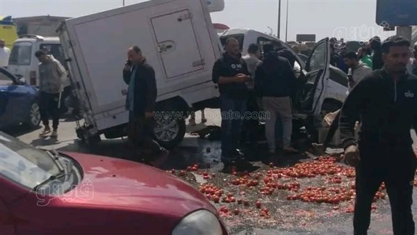 انقلاب سيارة نقل محملة بالطماطم بالشرقية يُسفر عن إصابة 3 أشخاص