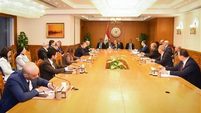 الخارجية تستضيف اجتماعًا تنسيقيا لمتابعة قضايا المصريين بالخارج (صور)