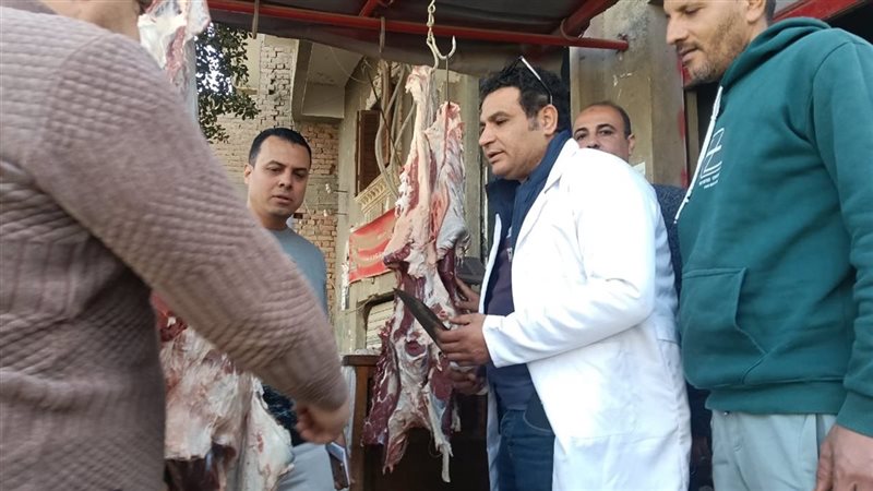 أنشطة بيطرية