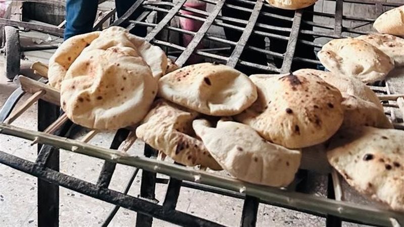 حملة تموينية علي
