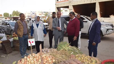 جولات تفتيشية بالوادي الجديد لضبط الأسواق والمخابز وتوافر أسطوانات البوتاجاز