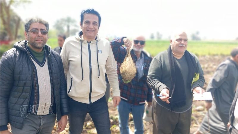 حصاد محصول بنجر السكر