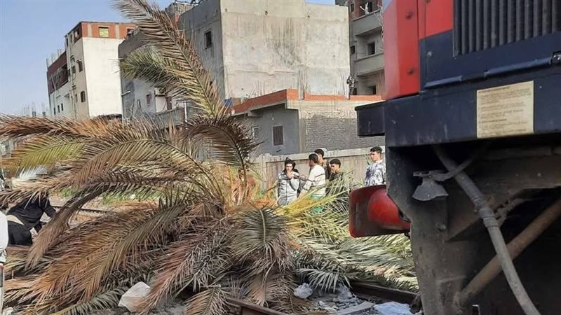 سقوط نخله أمام قطار،فيتو